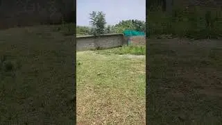 village afternoon weather (Mansehra). #vlog