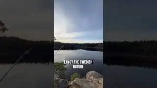 Swedish Nature is the best! #camping #fishing #sweden #outdoor #bushcraft