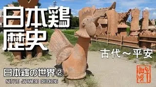 日本鶏の世界②　日本鶏の歴史　古代～平安　The World of Native Japanese Chickens