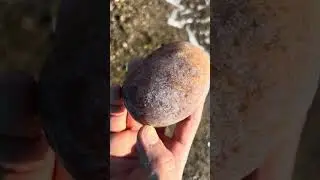 Quartz石英#quartz #石英 #shorts #stone #rock #nature #a#石拾い #天然石 #パワーストーン #gemstone #ビーチコーミング #beach
