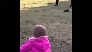 C is for Cow - Adventure's of Riley Madison