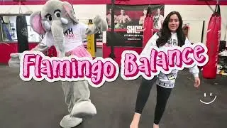 Practice Your Balance with  Ellie the Muay Thai Elephant (Muay Thai Lessons for Kids)