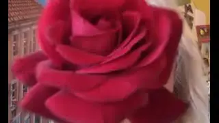 Im Namen der Rose
