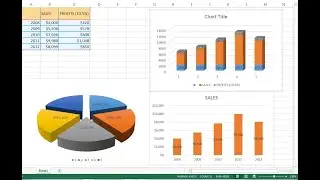 MS EXCEL CHARTS | OFFICE 2010 & 2013