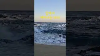 잠에서 깨어나는 해변 #shorts