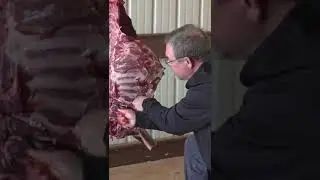Брэд Фенсон не тратит зря НИ ОДНОГО мяса #шорты #олень #охота на оленей #мясо