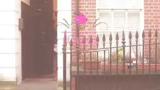 Cupcake Delivery London same day