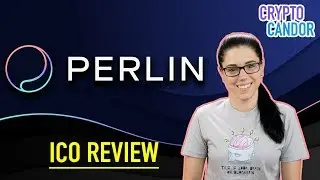 ICO Review: Perlin | A Decentralized Super Computer