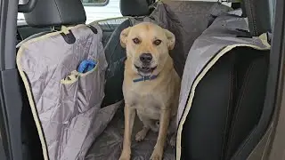iBuddy Dog Hammock Floor Cover for Trucks with Flip Up Rear Seats