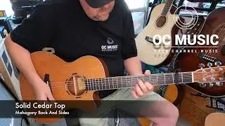 Tanglewood winterleaf Pro Acoustic Guitar (Superfolk Size)