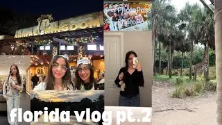 florida vlog pt.2 | Disney, shopping, medieval night