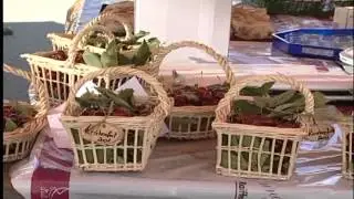 Kirschenfest Hitzendorf - Bericht 2001