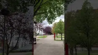 Let&rsquo;s walk aroun🩰🌸🌼#canada #150k #calgary #outdoors #travel #walkaround