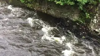 Rafting past Chainbridge Hotel on the River Dee