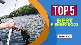 The 5 Best Fishing Rod and Reel for 2025 | Reviews | Best Fishing Rods for Beginners