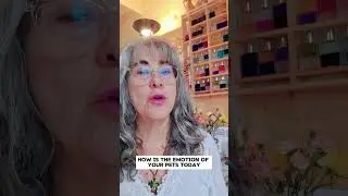 Flower Essences for Pets - #1 #floweressences #floraisdesaintgermain #animalhealing