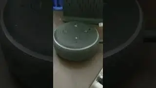Alexa de Amazon en rojo no funciona, o est&aacute; sin internet o tiene problemas la conexi&oacute;n de internet