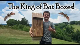 DIY Kids Project - Lets make a Bat Box!