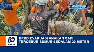 MAGETAN - BPBD Evakuasi Anakan Sapi Tercebur Sumur Sedalam 20 Meter