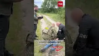 Ухилянти поранили прикордонників, які відмовились взяти гроші за перетин кордону!