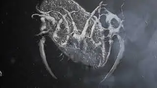 POM&Oacute;R 