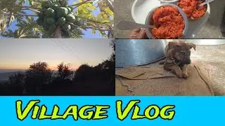 Village Vlog 😍/Village Life/Pahadi ❤️/#himachalpradesh #vlog #video #minivlog 