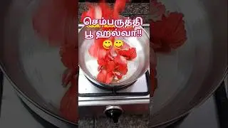 செம்பருத்தி பூ ஹல்வா!!? 😋😋 #shorts #trending #hibiscus #halwa #tamil @Pragathisvoice