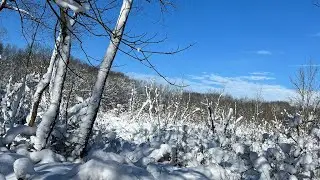 Showing you what pond ice skating looks like in Michigan.