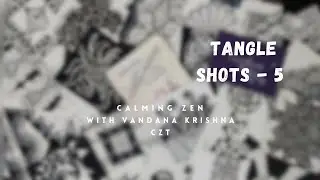 TANGLE SHOTS-5 Calming Zen for busy days 😇