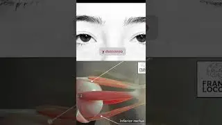 #terapiavisual #ojos #estres #atencion