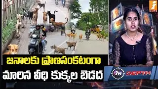 జనాలకు ప్రాణసంకటంగా మారిన వీధి కుక్కల బెడద | Supreme Court   Sensational Decision on Street Dogs