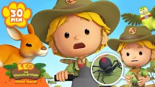 KYLE'S WILDLIFE ADVENTURES IN AUSTRALIA! 🦘 | Leo the Wildlife Ranger | #australia #animals