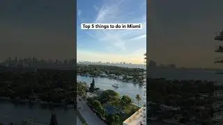 Top 5 things to do in Miami
