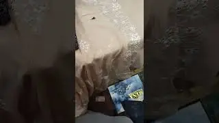 my best video from tis account please subscribe my chinals in sheir thinks for me