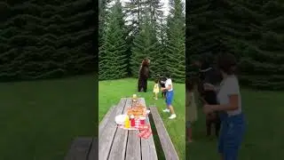 Hero Doberman Protects Family from Backyard Bear!