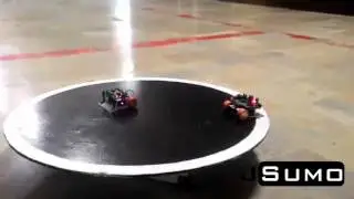 JSumo Mini Sumo Robot Match - Good Mini Sumo Robots