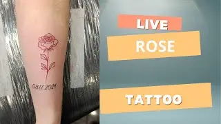 Rose tattoo live