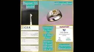 Jane&rsquo;s Birkin made history&mdash;but V.D. GEMS 3.01ct Earth-Blessed Diamond brings your fortune! 💎✨