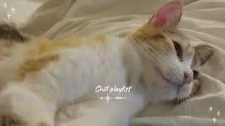 Chill Vibes | A Playlist to Soothe your Mind 🐈