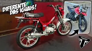 COLOQUEI PE&Ccedil;AS DA TRIUMPH TIGER NA MOBILETE 4 TEMPOS!