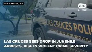 Las Cruces sees drop in juvenile arrests, rise in violent crime severity