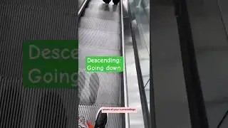 How To Use  Escalators With Ease