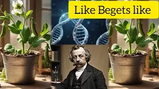 How Mendel cracked the code: A DIY GENETIC EXPERIMENT