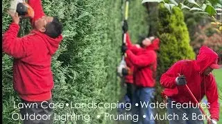 Get Your Garden And Lawn Done Right: Local Landscaping Services #landscaping #lawncare