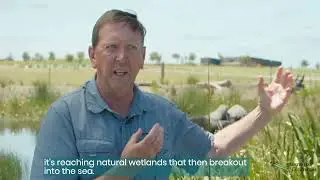 Water Sensitive Urban Design