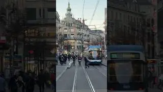 Streets of Zurich 🇨🇭Amalgam of Trams, Bicycles, Pedestrians, Cars, Scooters