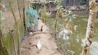 ২০২৫ সালে কি পেলাম আর কি হারালাম?