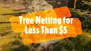 Tree Netting For Less Than $5 - Protect From Cicadas