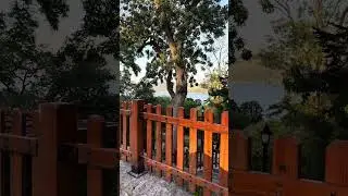 A Summer Memory | Nature, People & a Curious Squirrel | Silent City | 4K