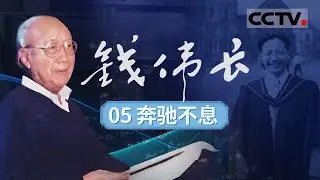 《钱伟长》05 奔驰不息：43年讲台风雨路 70岁校长新篇章 钱伟长的教育革新【CCTV纪录】
